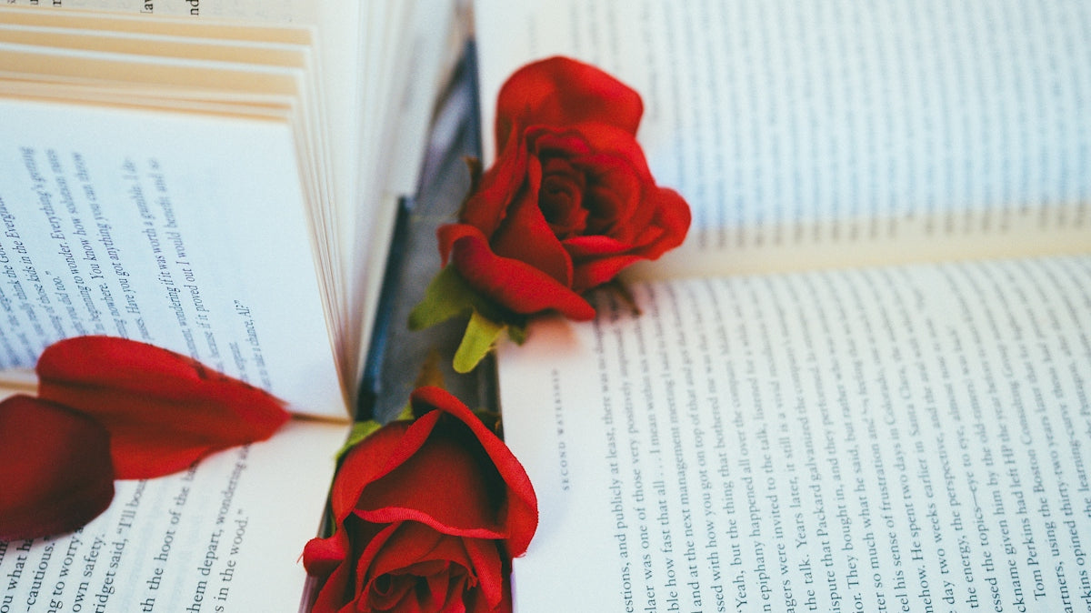 A red rose laying on top of an open book