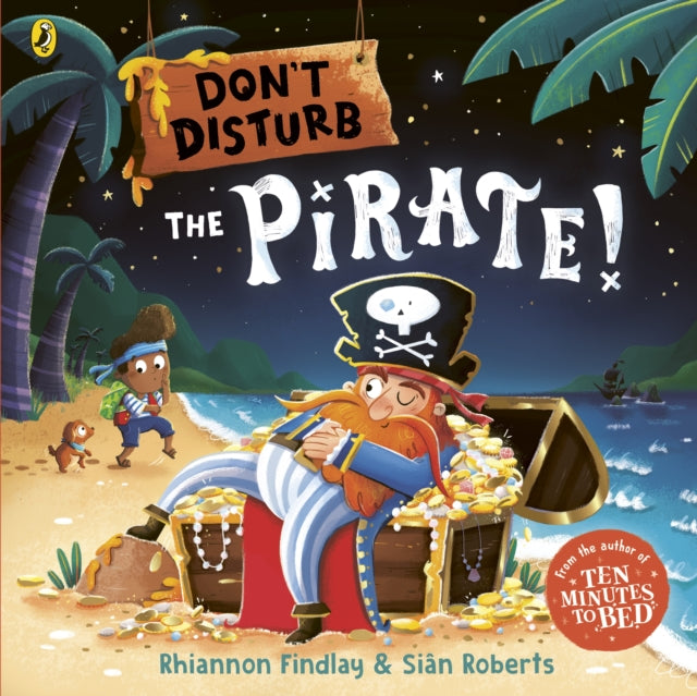 Book cover of: Don’t Disturb The Pirate. By: Rhiannon Findlay