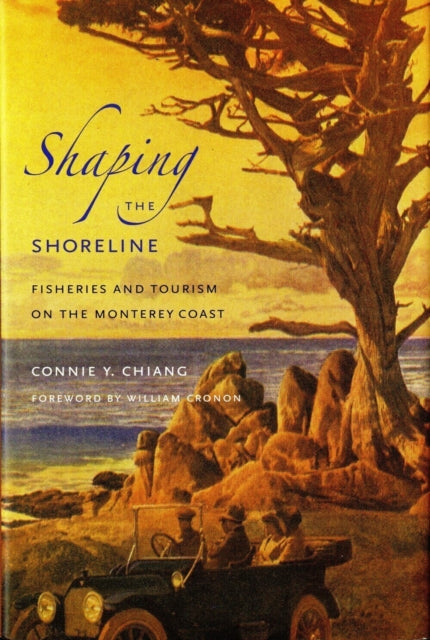 Book cover of: Shaping the Shoreline. By: Connie Y. Chiang