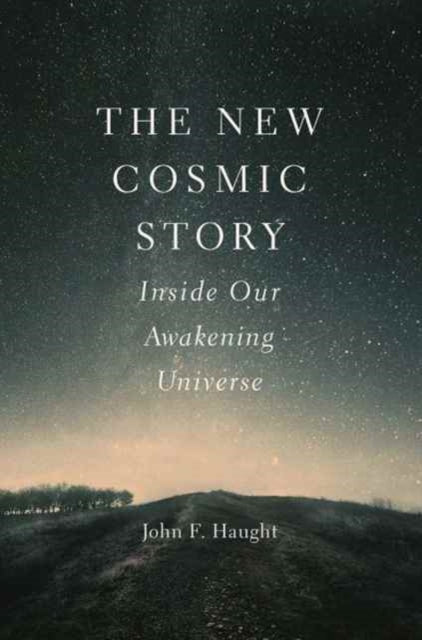 Book cover of: New Cosmic Story. By: John F. Haught