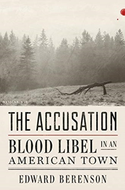 Book cover of: Accusation
