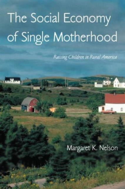 Book cover of: Social Economy of Single Motherhood