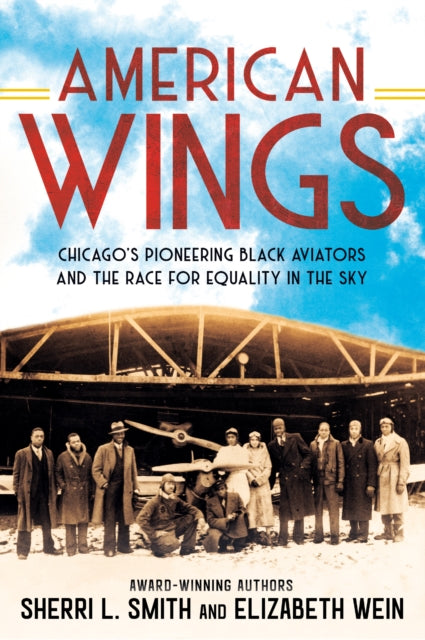 Book cover of: American Wings
