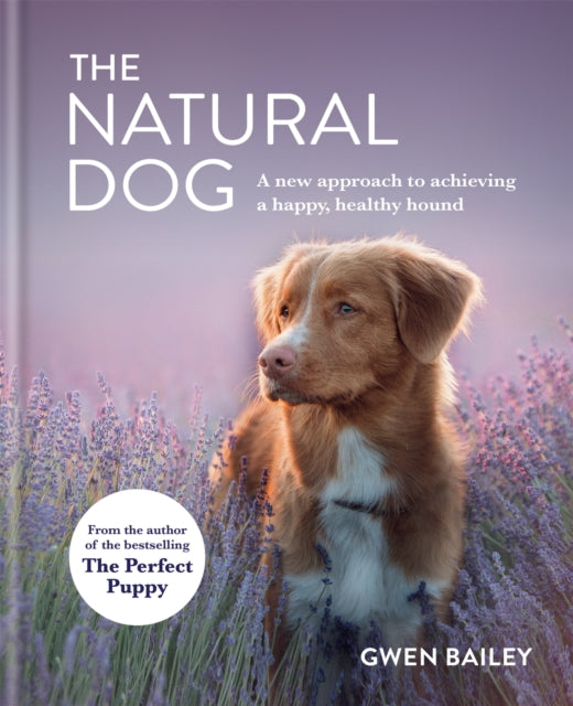 Book cover of: Natural Dog. By: Gwen Bailey