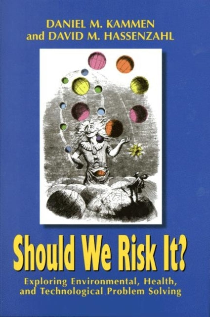 Book cover of: Should We Risk It?. By: Daniel M. Kammen