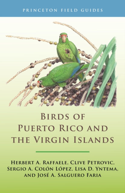 Book cover of: Birds of Puerto Rico and the Virgin Islands. By: Birds of the West Indies Herbert A. Raffaele