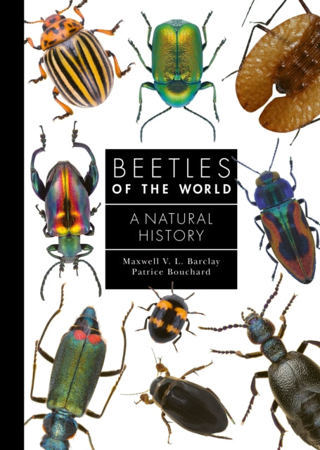 Book cover of: Beetles of the World. By: Maxwell V. L. Barclay