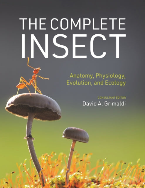 Book cover of: Complete Insect. By: David A. Grimaldi