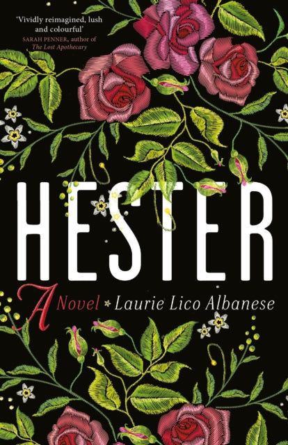 Hester, a bewitching tale of desire and ambition 9780715654842 Laurie Lico Albanese
