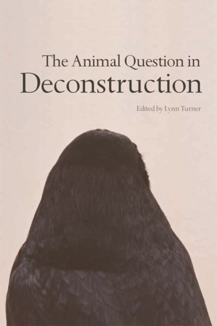 Book cover of: Animal Question in Deconstruction