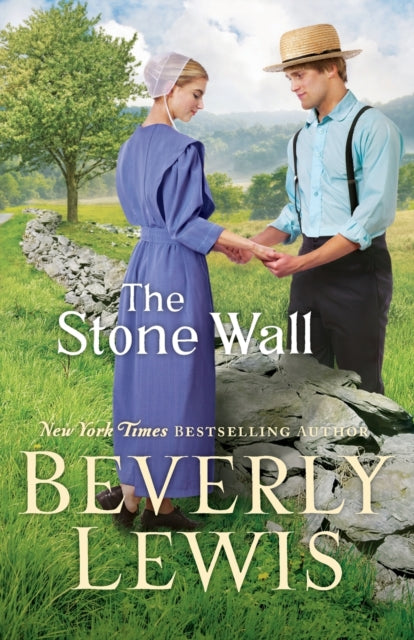 Book cover of: Stone Wall