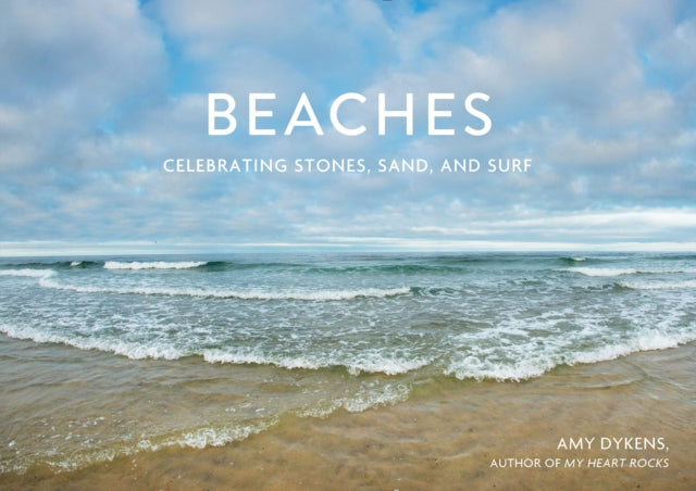 Book cover of: Beaches. By: Amy Dykens