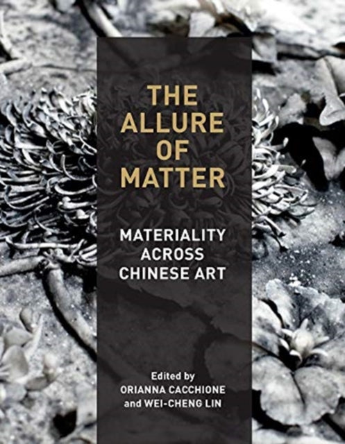 Book cover of: Allure of Matter. By: Orianna Cacchione