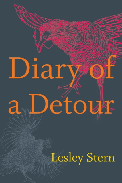 Book cover of: Diary of a Detour. By: Lesley Stern
