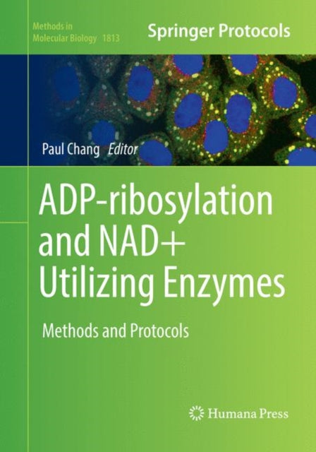 Book cover of: ADP-ribosylation and NAD+ Utilizing Enzymes. By: Paul Chang