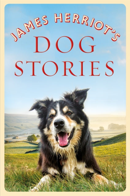 James Herriot's Dog Stories 9781529023619 James Herriot