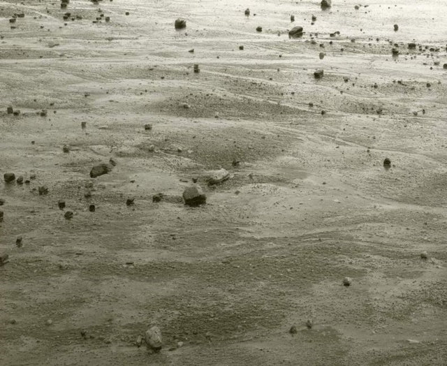 Book cover of: Nature of Nature. By: Thaddeus Holownia