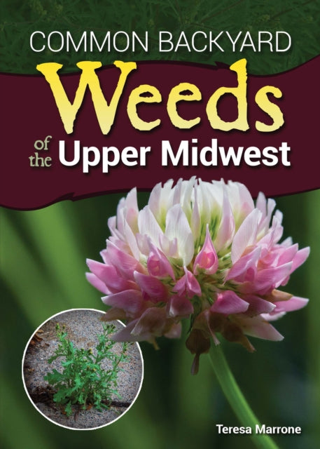 Book cover of: Common Backyard Weeds of the Upper Midwest. By: Teresa Marrone