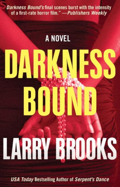 Book cover of: Darkness Bound. By: Larry Brooks