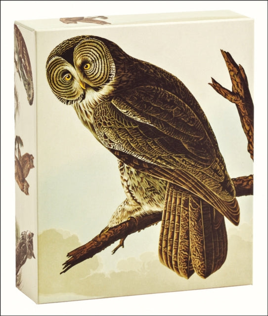 Book cover of: Audubon Owls QuickNotes