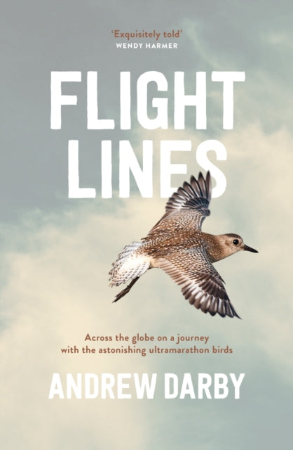Book cover of: Flight Lines. By: Andrew Darby