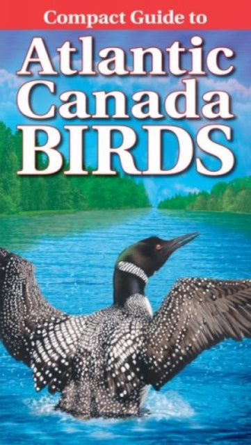 Book cover of: Compact Guide to Atlantic Canada Birds. By: Roger Burrows