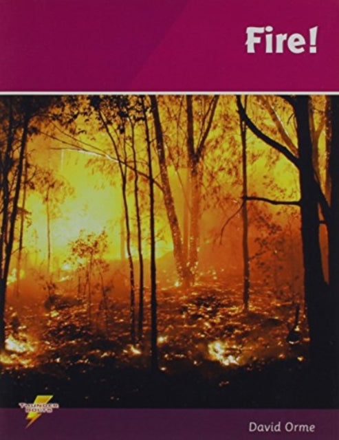 Book cover of: Thunderbolts Set 3. By: David Orme