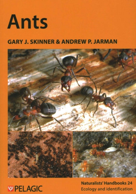 Book cover of: Ants. By: Andrew P. Jarman