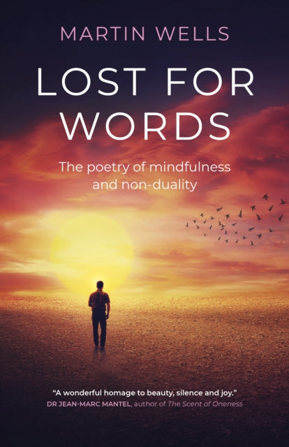 Book cover of: Lost for Words. By: Martin Wells