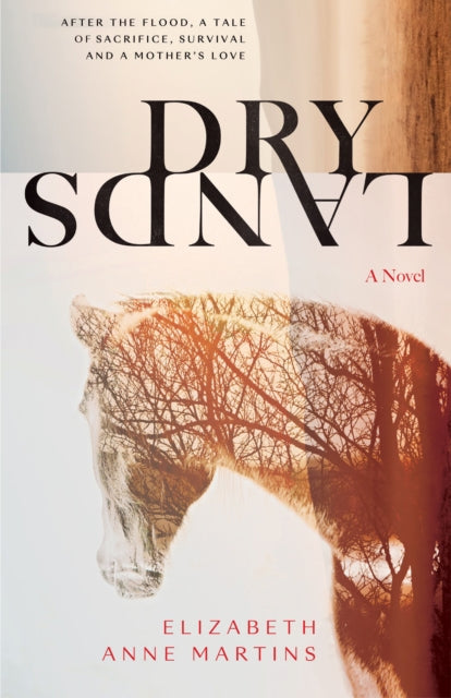 Book cover of: Dry Lands
