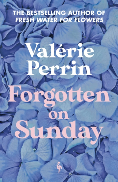 Forgotten on Sunday, From the million copy bestselling author of Fresh Water for Flowers 9781787705272 Valerie Perrin