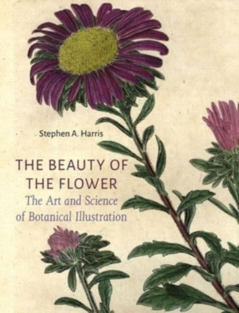 Book cover of: Beauty of the Flower. By: Stephen A. Harris