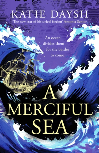 Book cover of: Merciful Sea