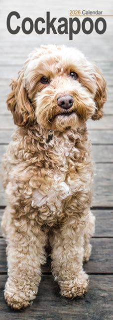 Cockapoo Slim Calendar 2026 Dog Breed Slimline Calendar - 12 Month 9781804607992