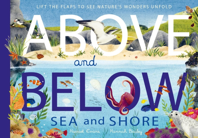 Book cover of: Above and Below: Sea and Shore. By: Harriet Evans