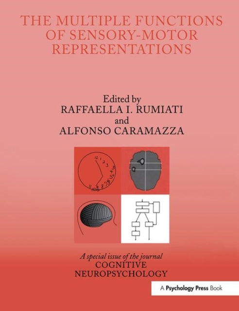 Book cover of: Multiple Functions of Sensory-Motor Representations. By: R Raffaella
