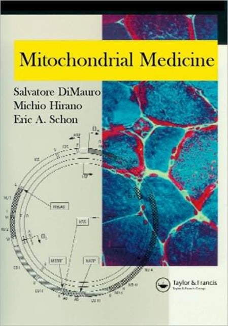 Book cover of: Mitochondrial Medicine. By: Salvatore DiMauro