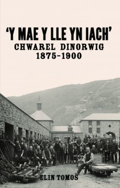 Book cover of: 'Y Mae y Lle yn Iach' - Chwarel Dinorwig 1875-1900. By: Elin Tomos