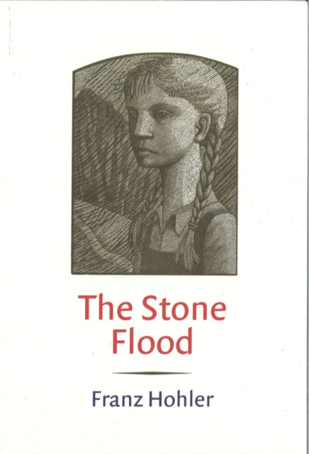 Book cover of: Stone Flood. By: Franz Hohler