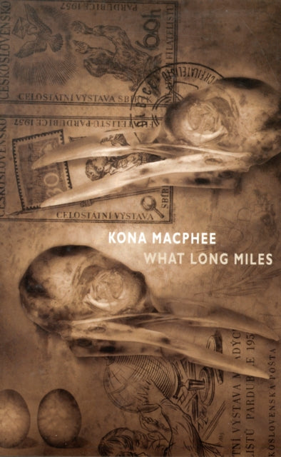 Book cover of: What Long Miles