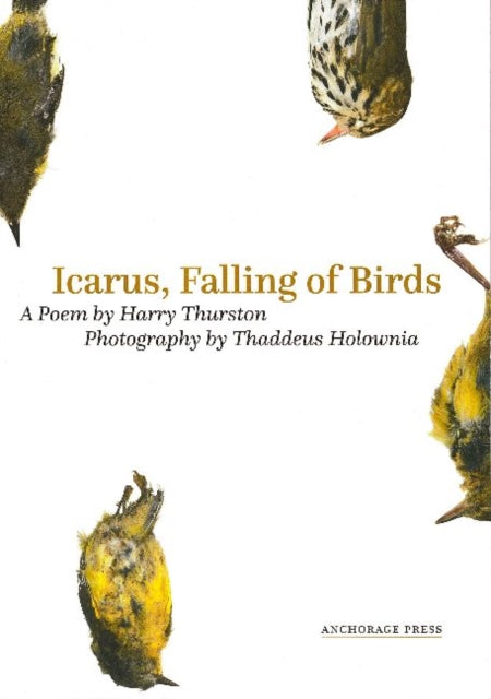 Book cover of: Icarus, Falling of Birds. By: Harry Thurston