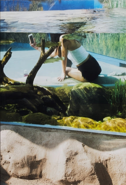 Book cover of: Aquarium. By: Barak Zemer