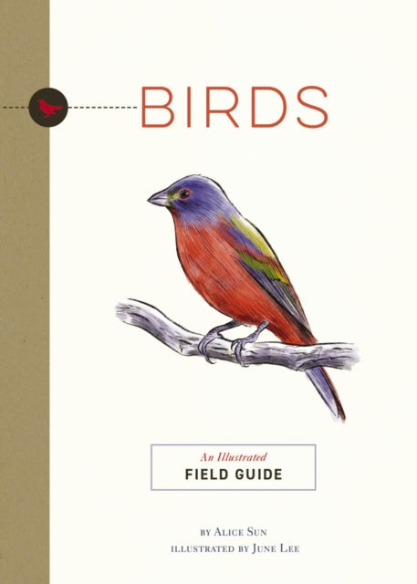 Book cover of: Birds. By: June Lee