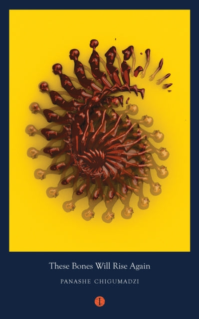 These Bones Will Rise Again 9781999683306 Panashe Chigumadzi