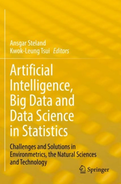 Book cover of: Artificial Intelligence, Big Data and Data Science in Statistics. By: Ansgar Steland