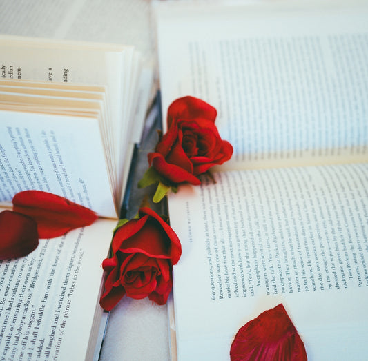 A red rose laying on top of an open book