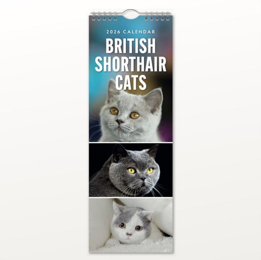Book ISBN 5056823003228