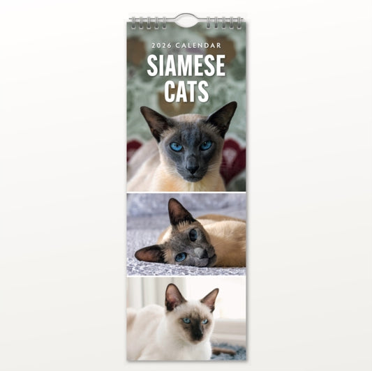 Book ISBN 5056823003327