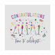 Book cover of: Confetti Celebration Celebrate