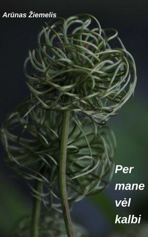 Per mane vėl kalbi